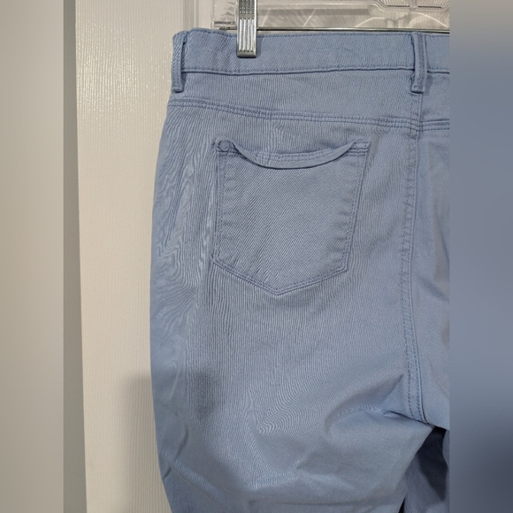 Glo by Gloria Vanderbilt Light Blue Sabrina Slim Pants in Size 16 - Picture 7 of 13